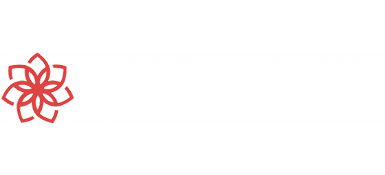 CasinoChan logo